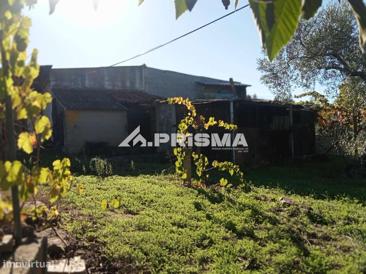 Quintinha para venda com construção rural para venda em Escalos de Bai-9