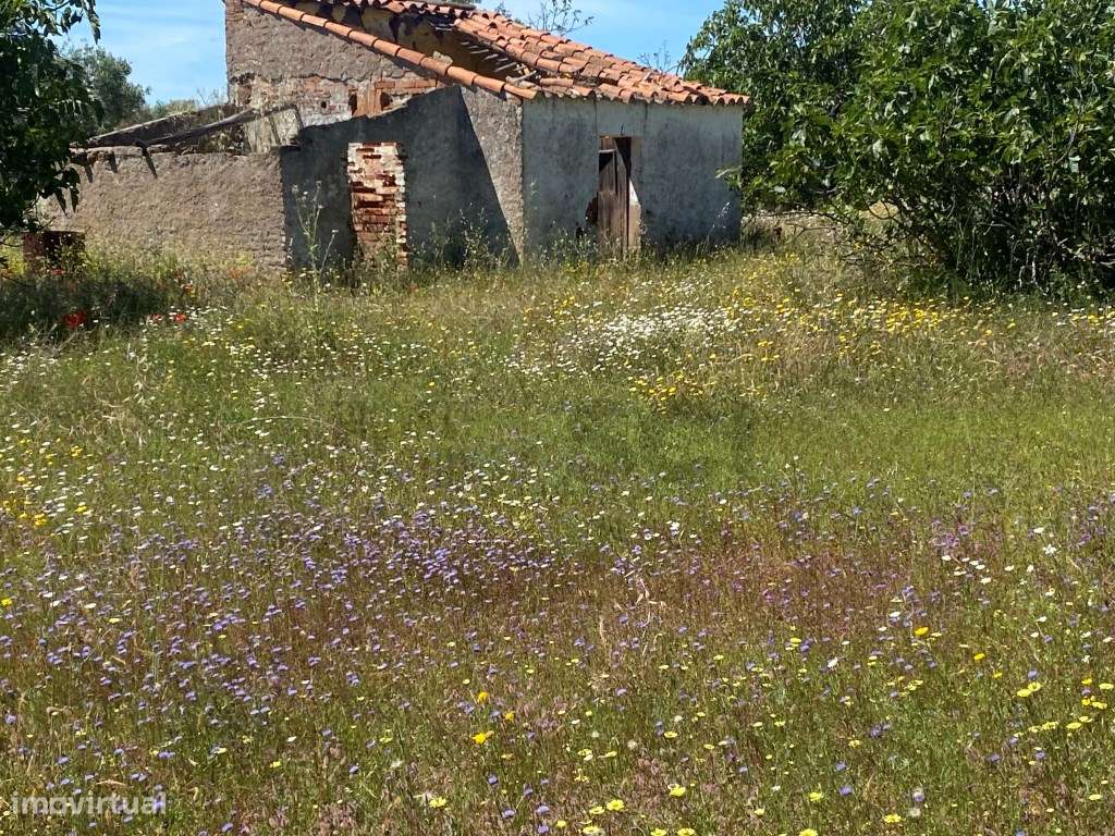 Quinta em Vila Nova de São Bento, com uma ruina para ser recuperada... - Grande imagem: 4/42