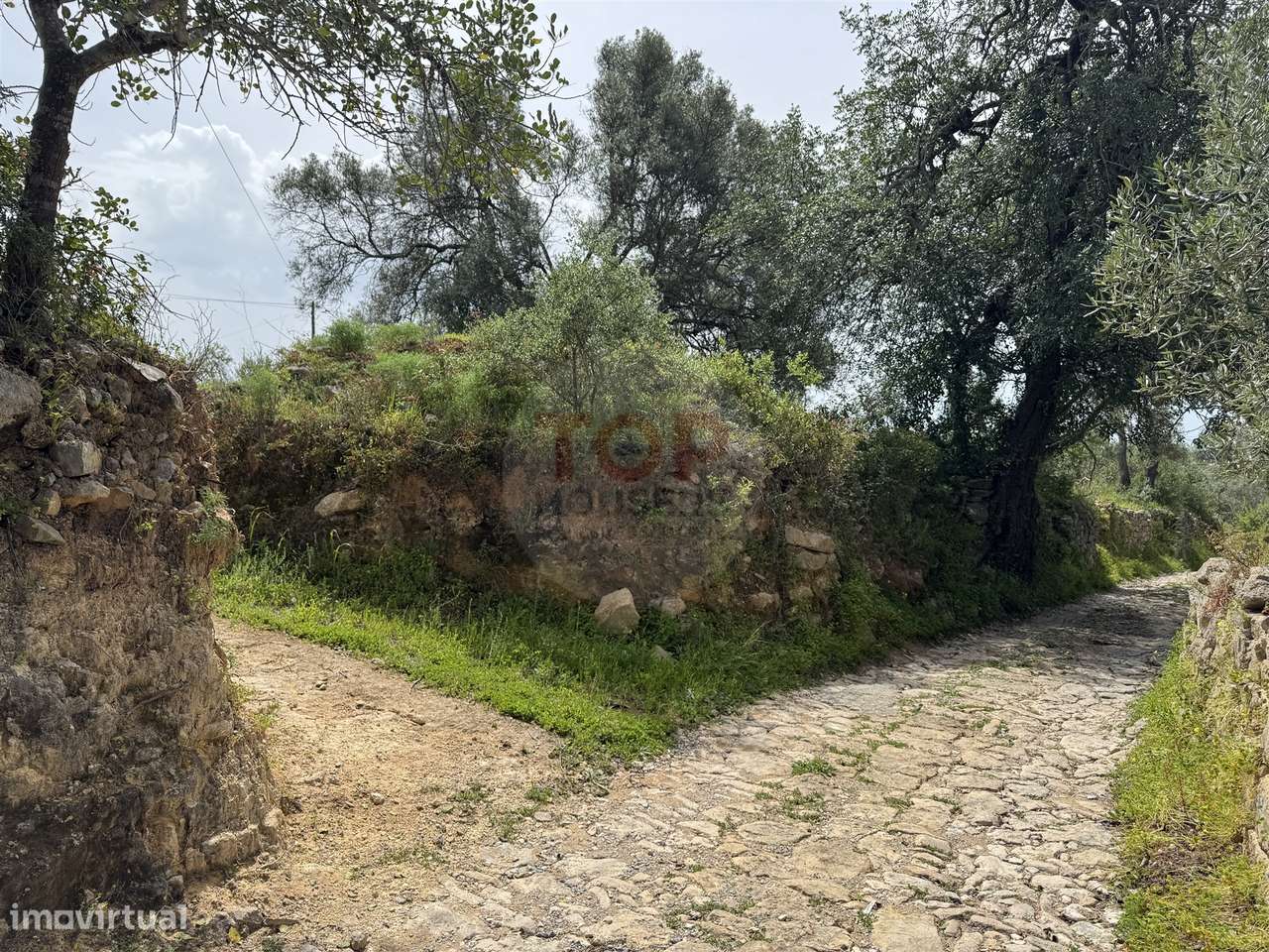 Terreno Rustico - Grande imagem: 3/11