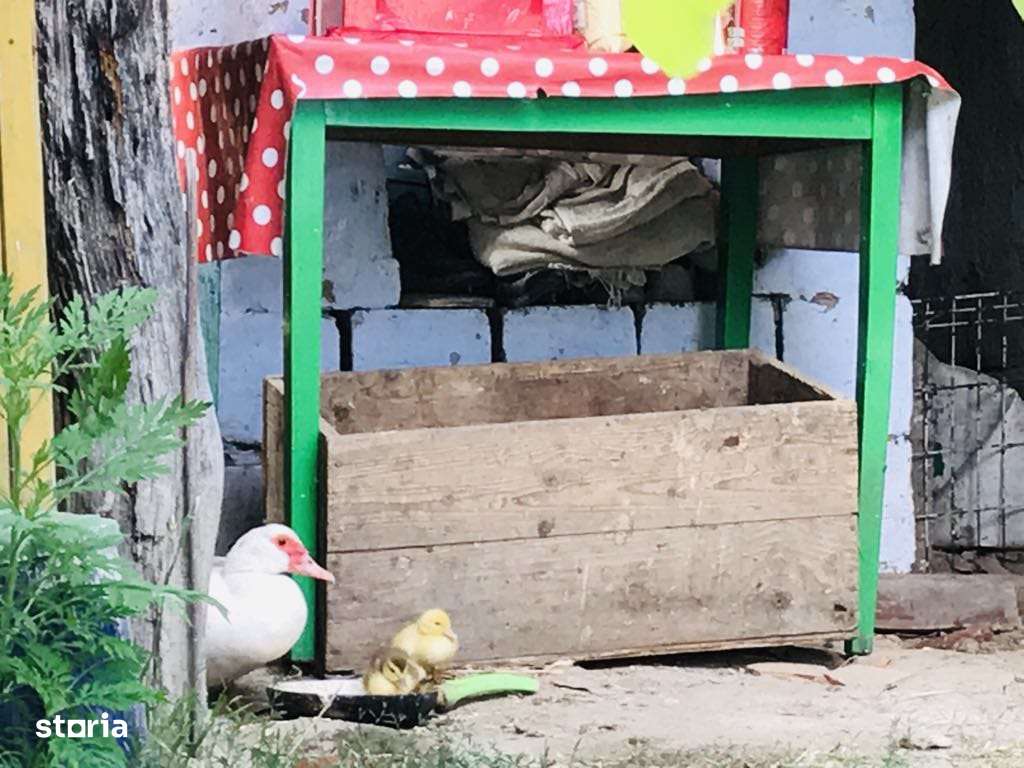 RAMDA,Casa de vanzare Tulca Salonta Bihor - Imagine principală: 5/9