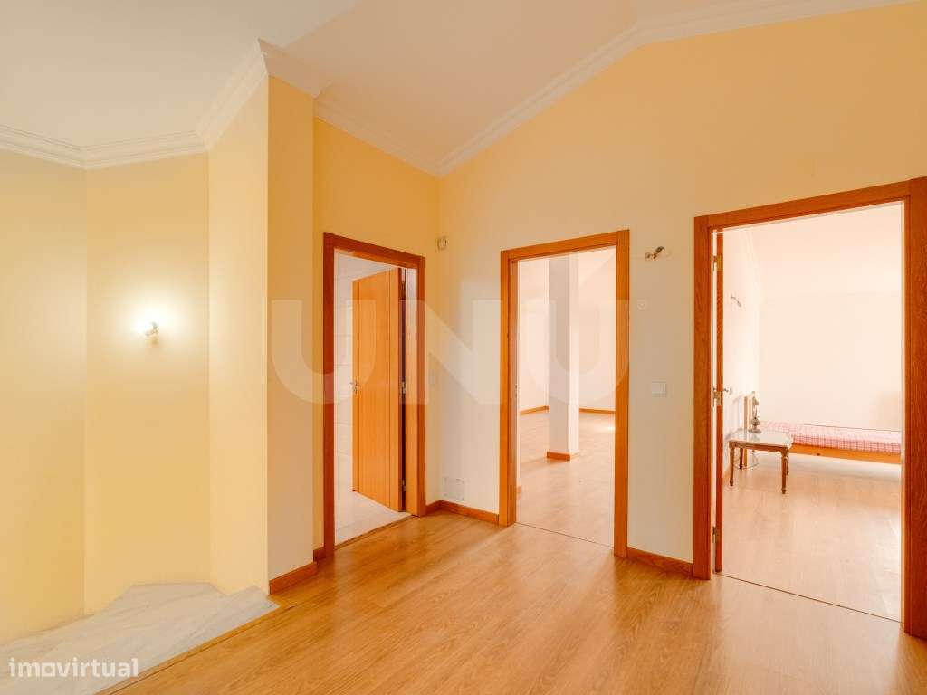 Quinta com 4,8 hectares e casa T9 em Vila Nova da Baronia-48