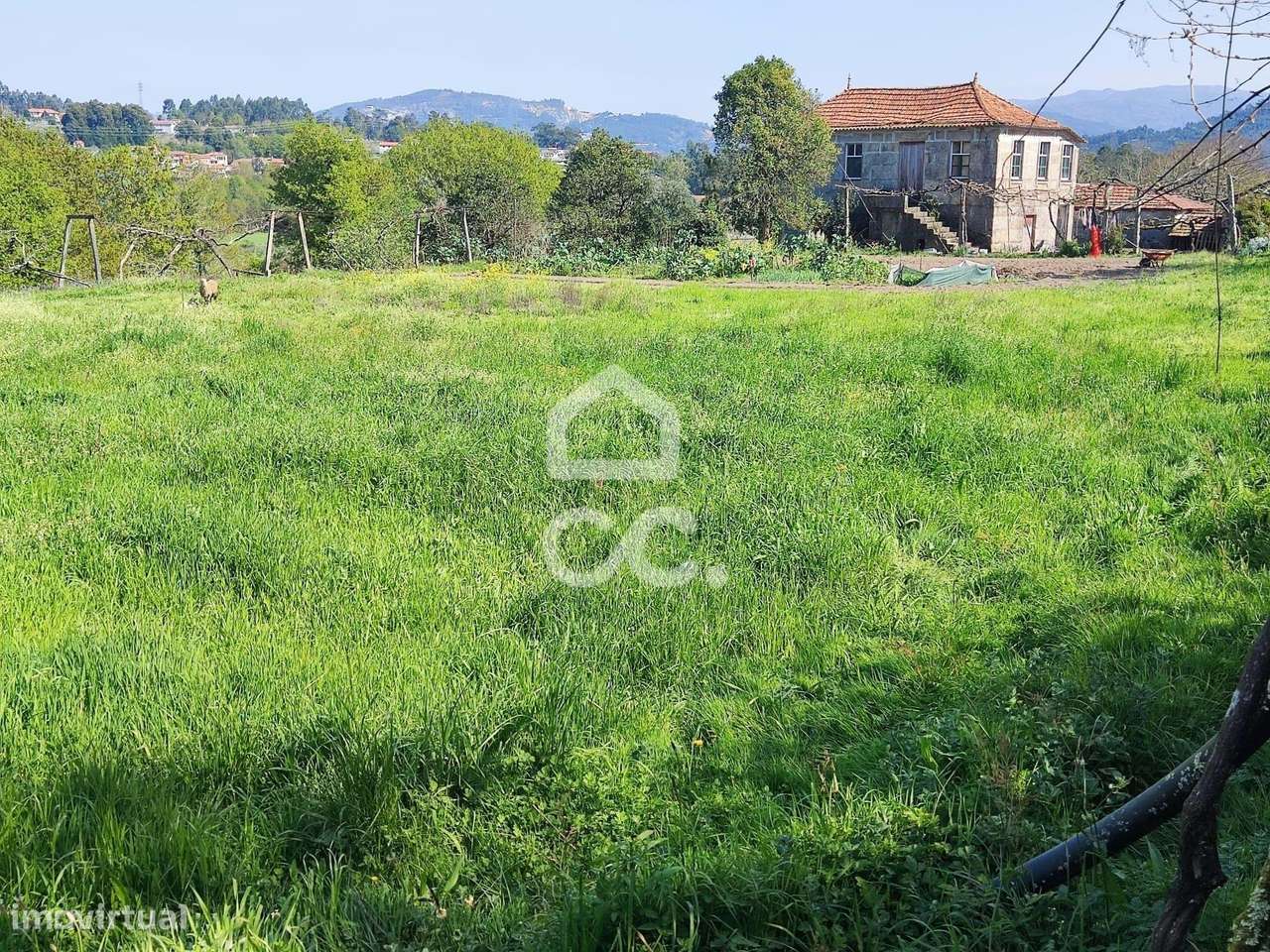 Quinta, Termas de São Vicente, Penafiel-16