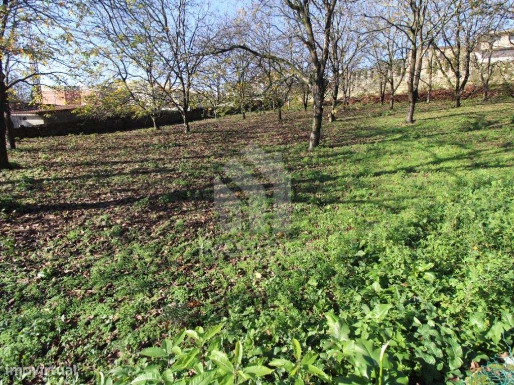 Venda de Terreno para Lotear, em Gualtar, Braga-24