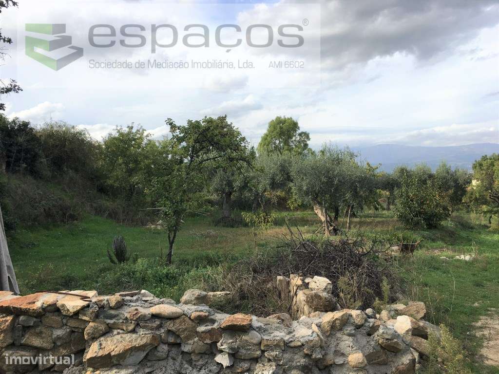 Terreno com 9000 m2 para construção - Grande imagem: 5/19