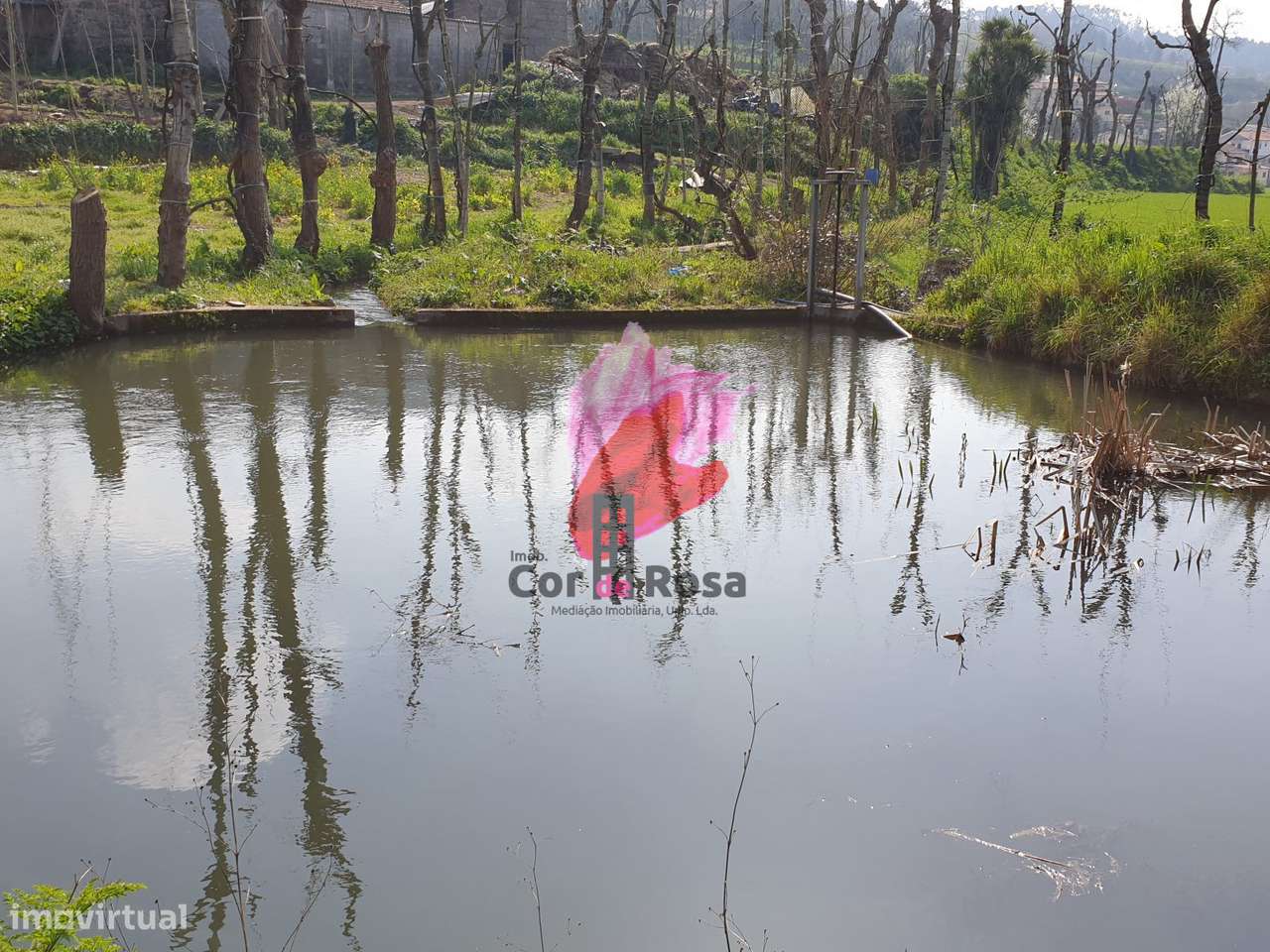 Quinta em Polvoreira  com 57.000m2 – Guimarães-7