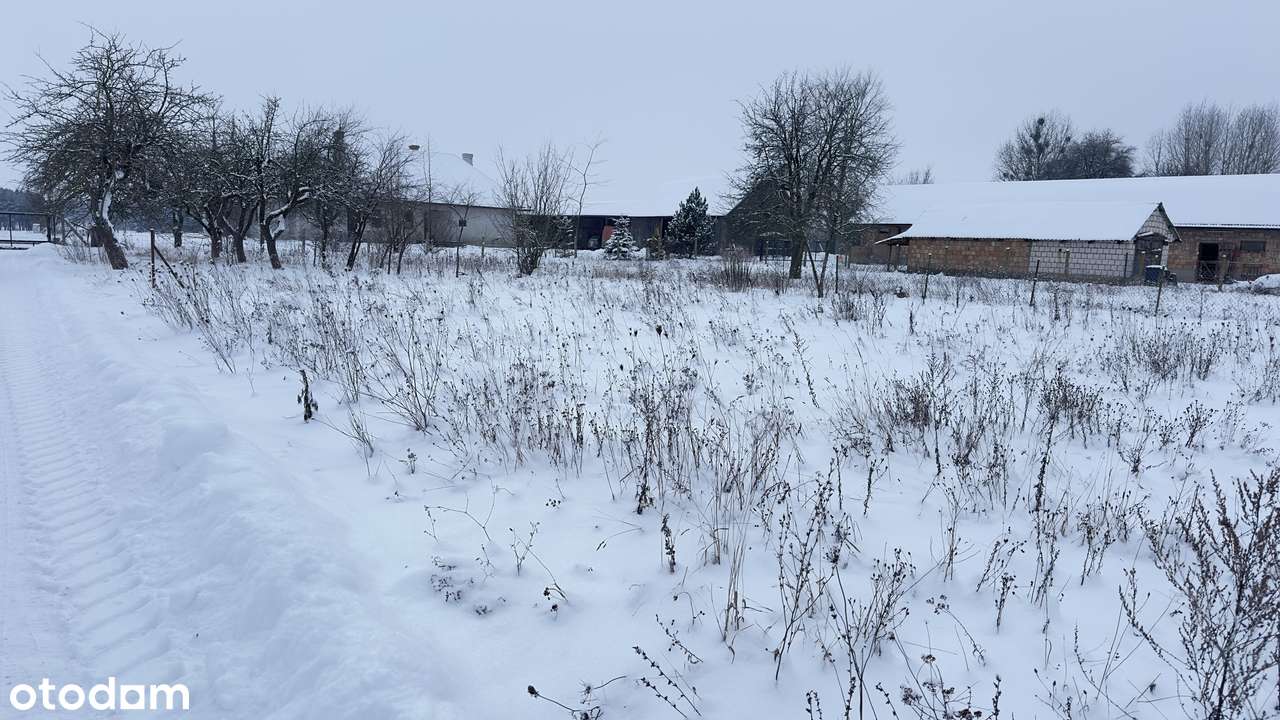 Działka w Podlaskiej malowniczej wsi Rzepiska,Żubry PuszczaBiałowieska-13