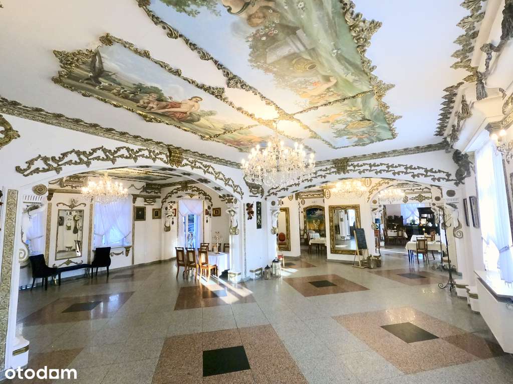 Przepiękny Pałac Tarnowskich czeka na nabywcę.-5