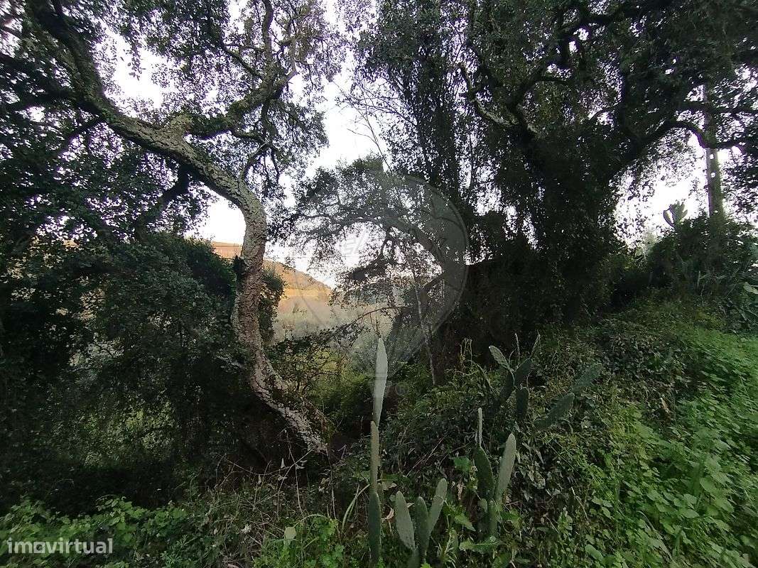 Terreno  para venda - Grande imagem: 3/3