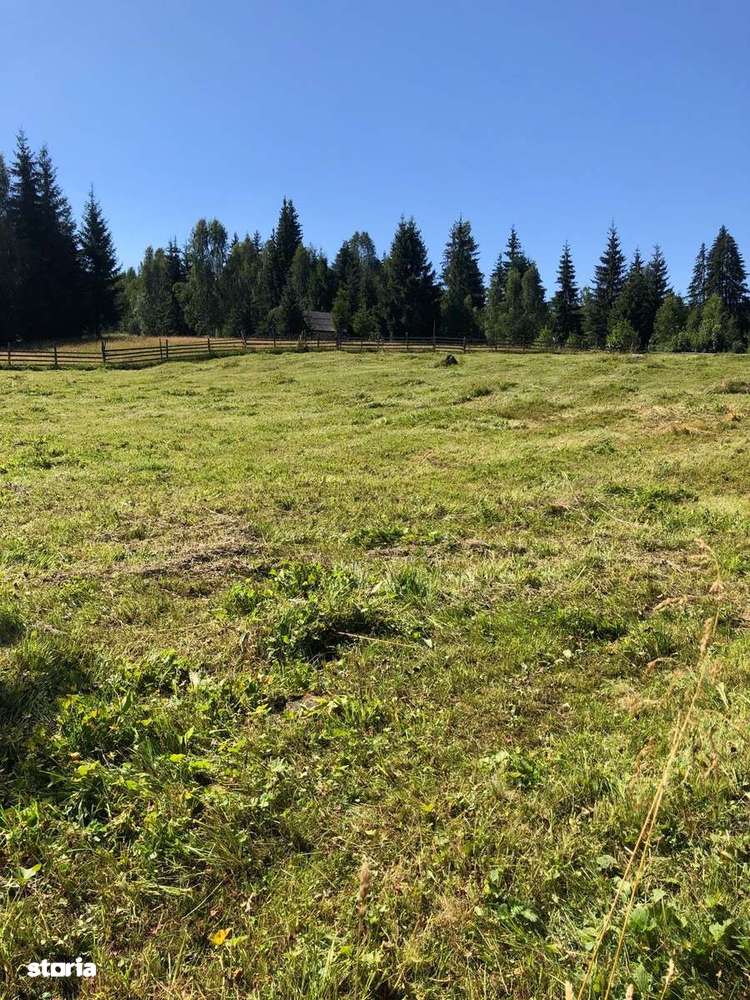 Teren intravilan –Gura Haitii, jud. Suceava - la 27 km de Vatra Dornei - Imagine principală: 4/6