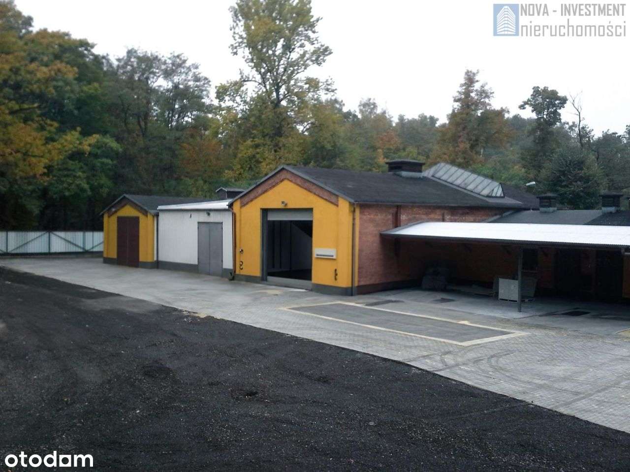 Stacja demontażu pojazdów/decyzja środowiskowa - Pełny obrazek: 4/11