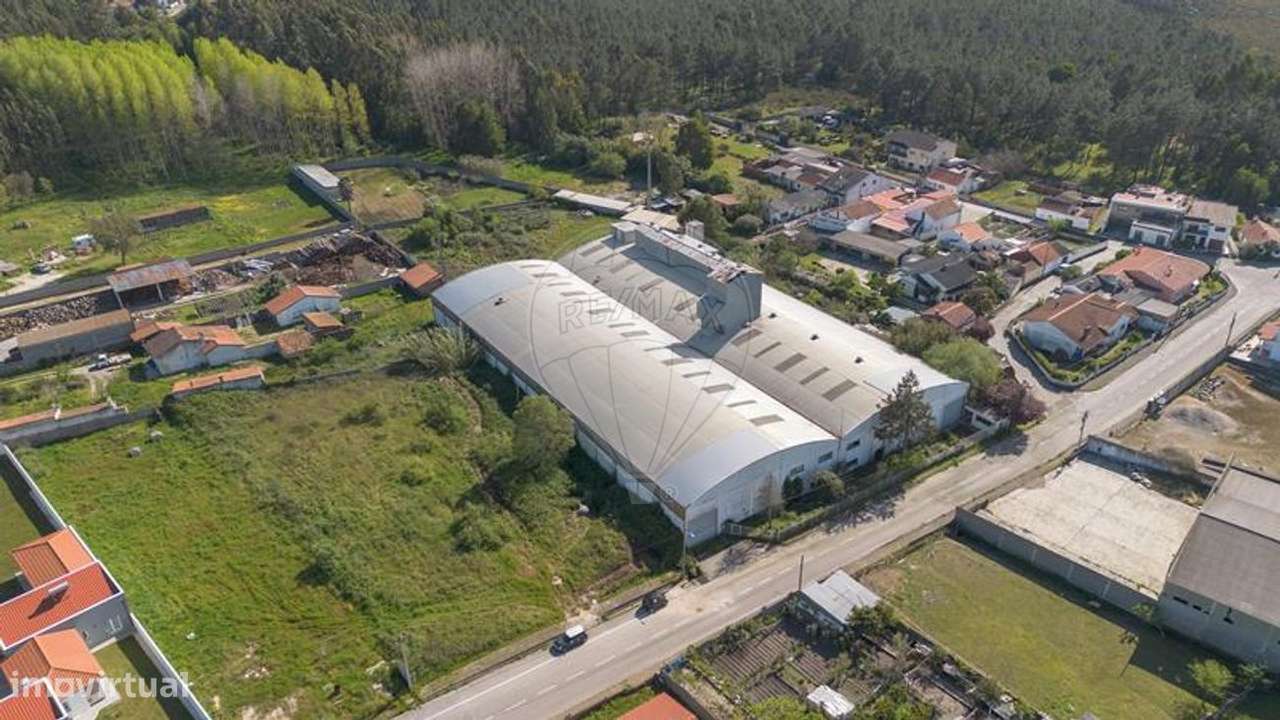 Armazém  para venda - Grande imagem: 4/46