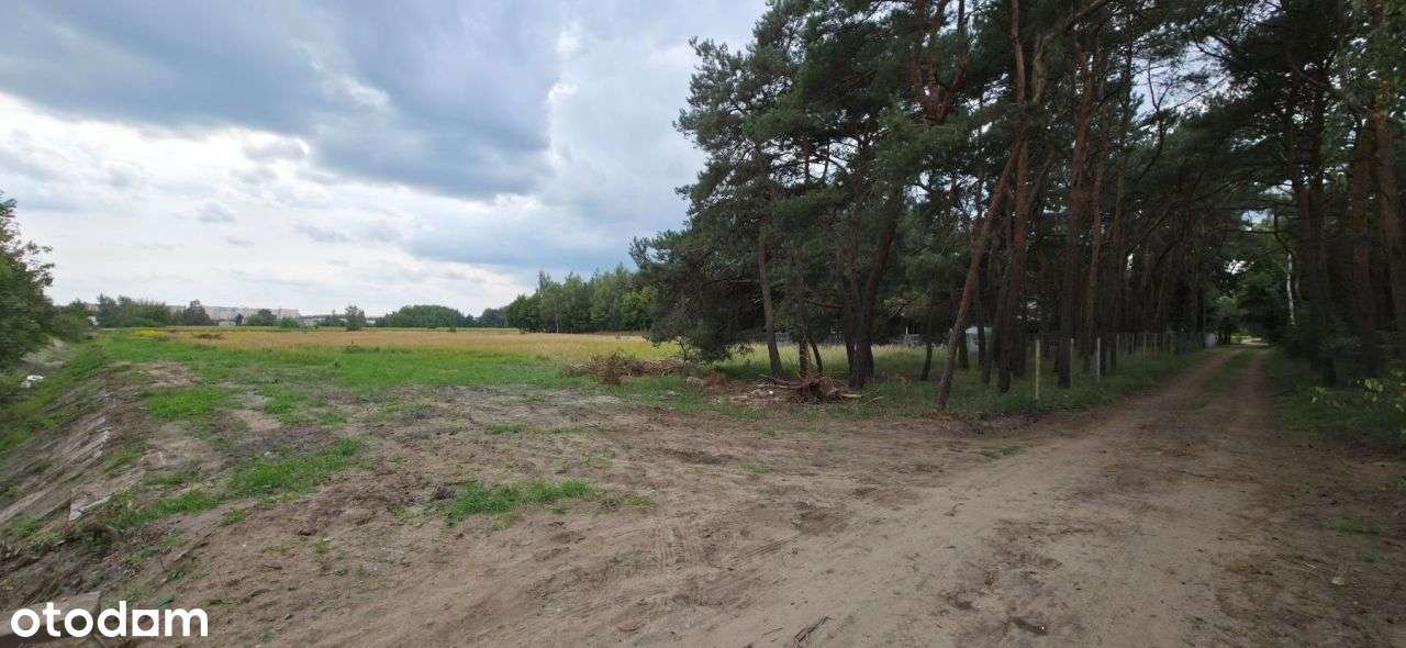 Działka, 16 937 m², Kutno-3