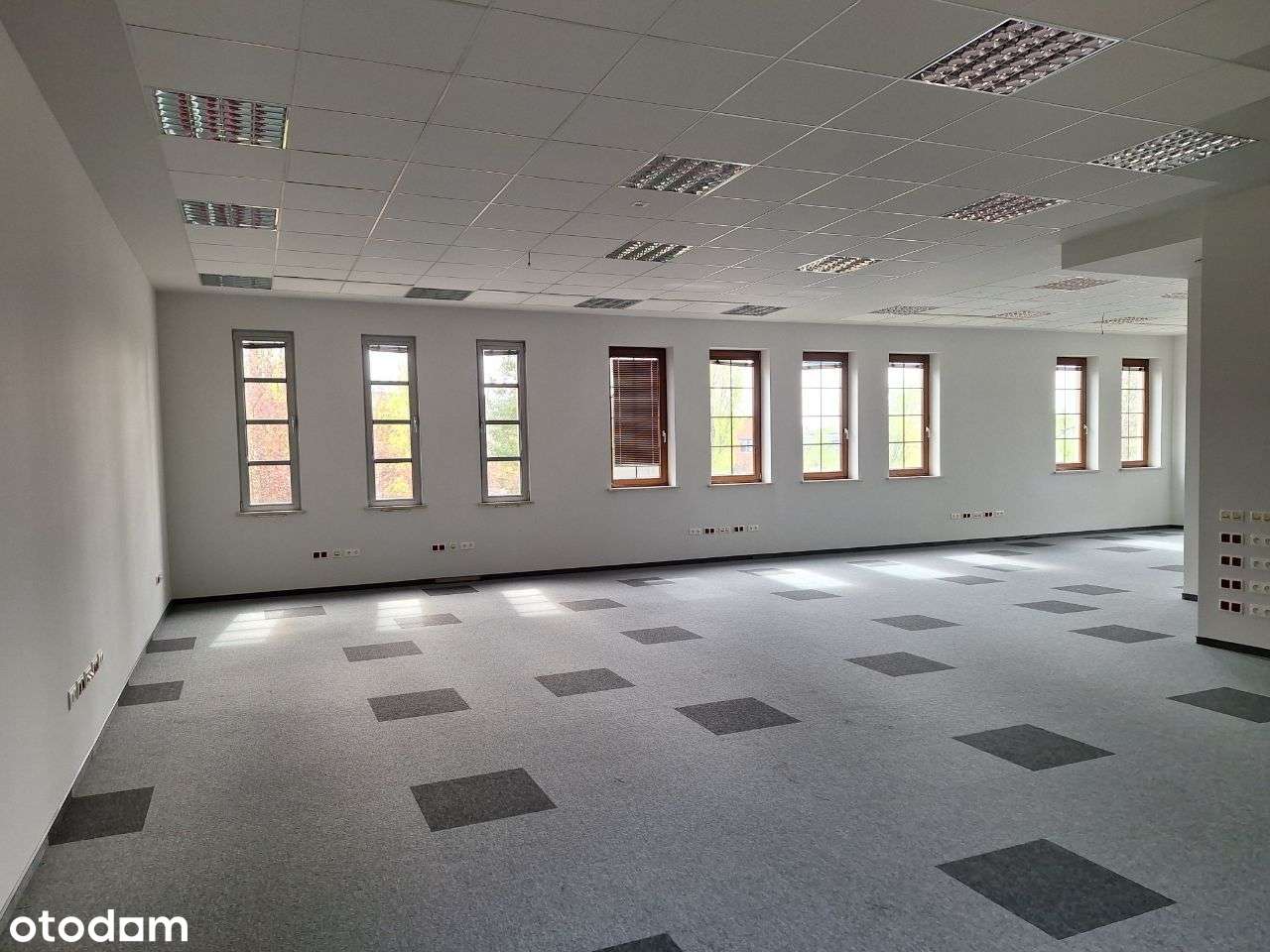 Biuro, Strzegomska - Pełny obrazek: 2/5