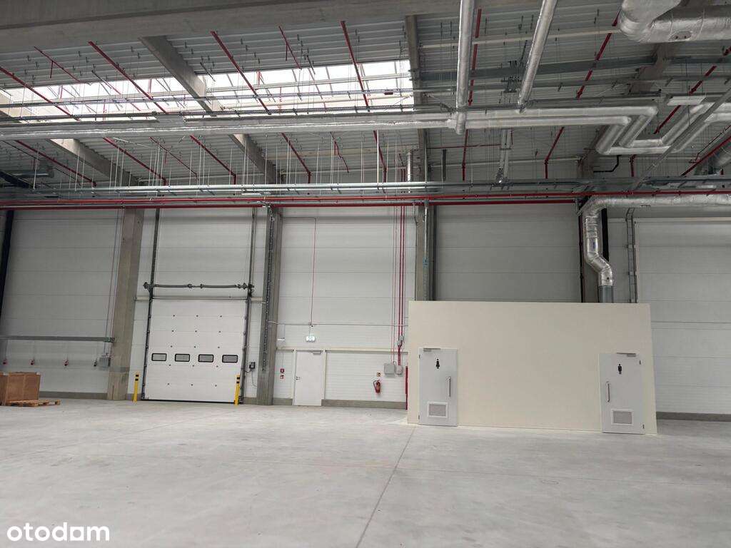 Moduł na podnajem, Łódź, Ksawerów, od zaraz - Pełny obrazek: 5/10