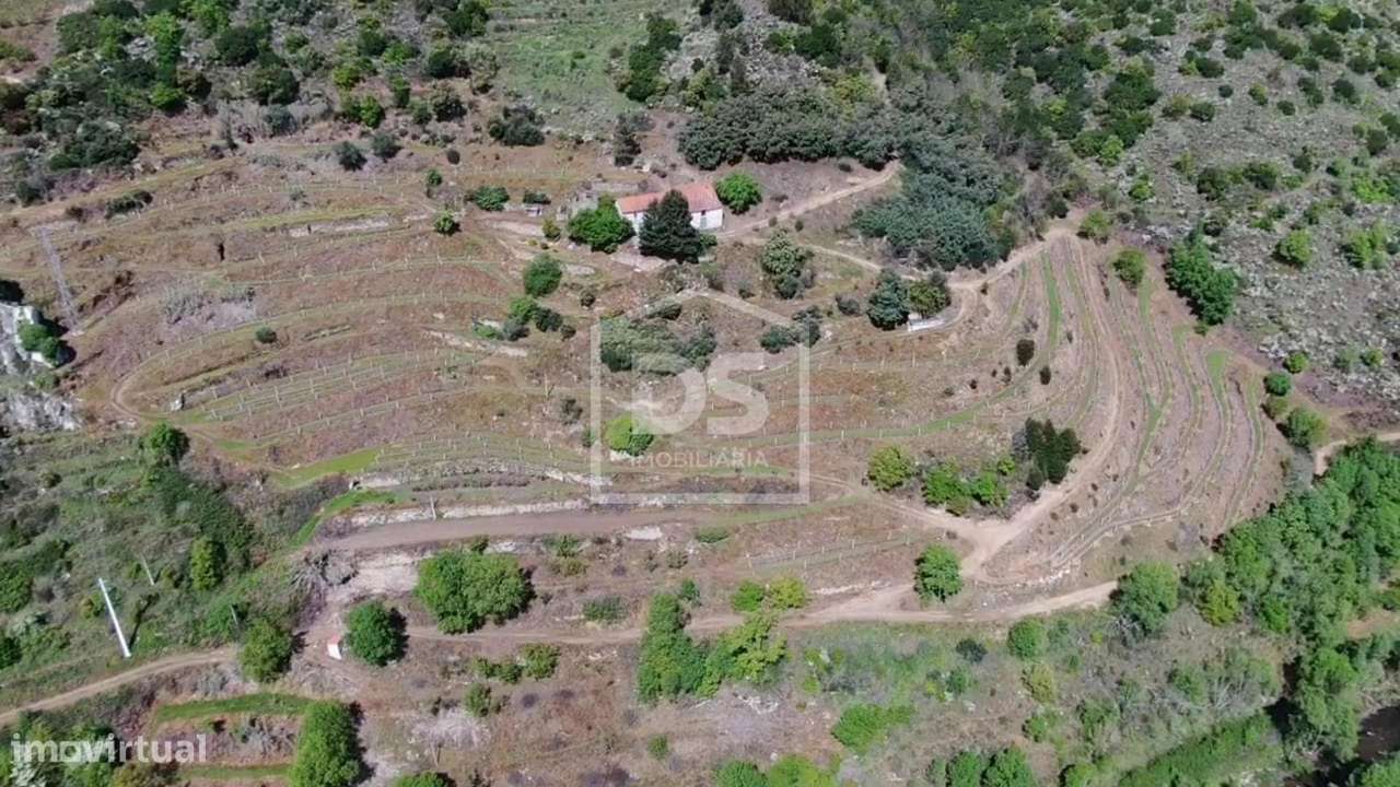 Quinta  Venda em Várzea de Abrunhais,Lamego-17