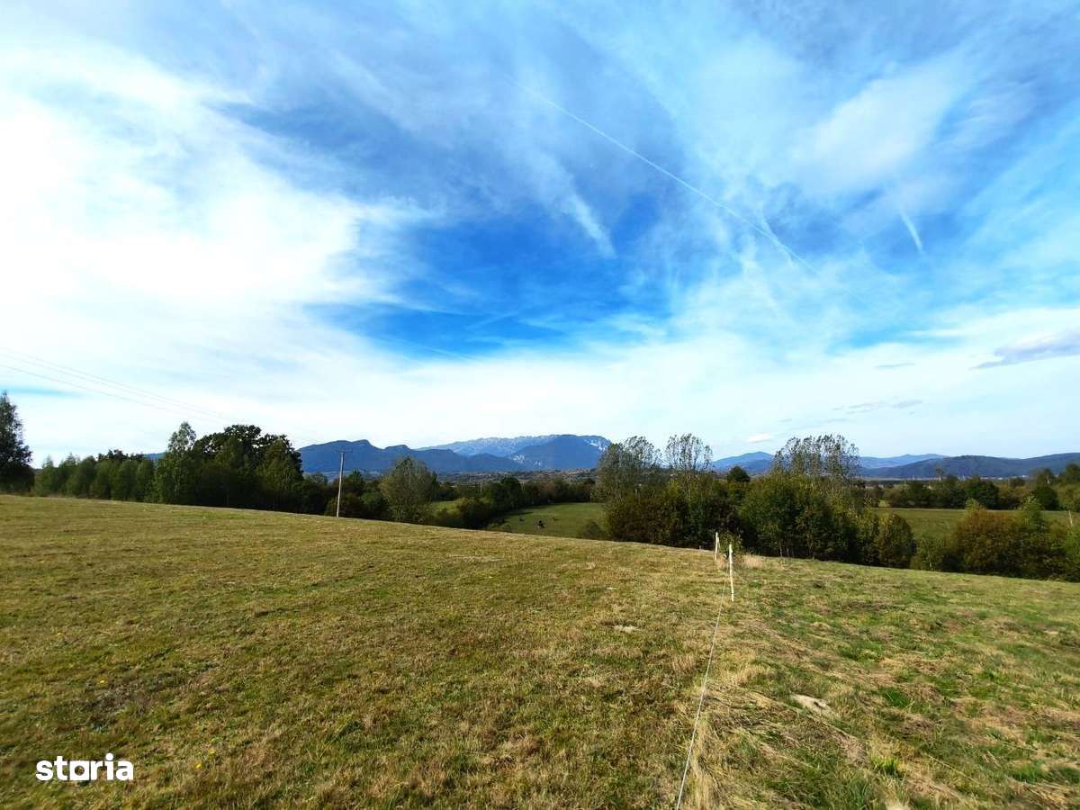 5800 mp fineata, pretabil camping, constructii A-frame, Sohodol, Bran - Imagine principală: 4/8