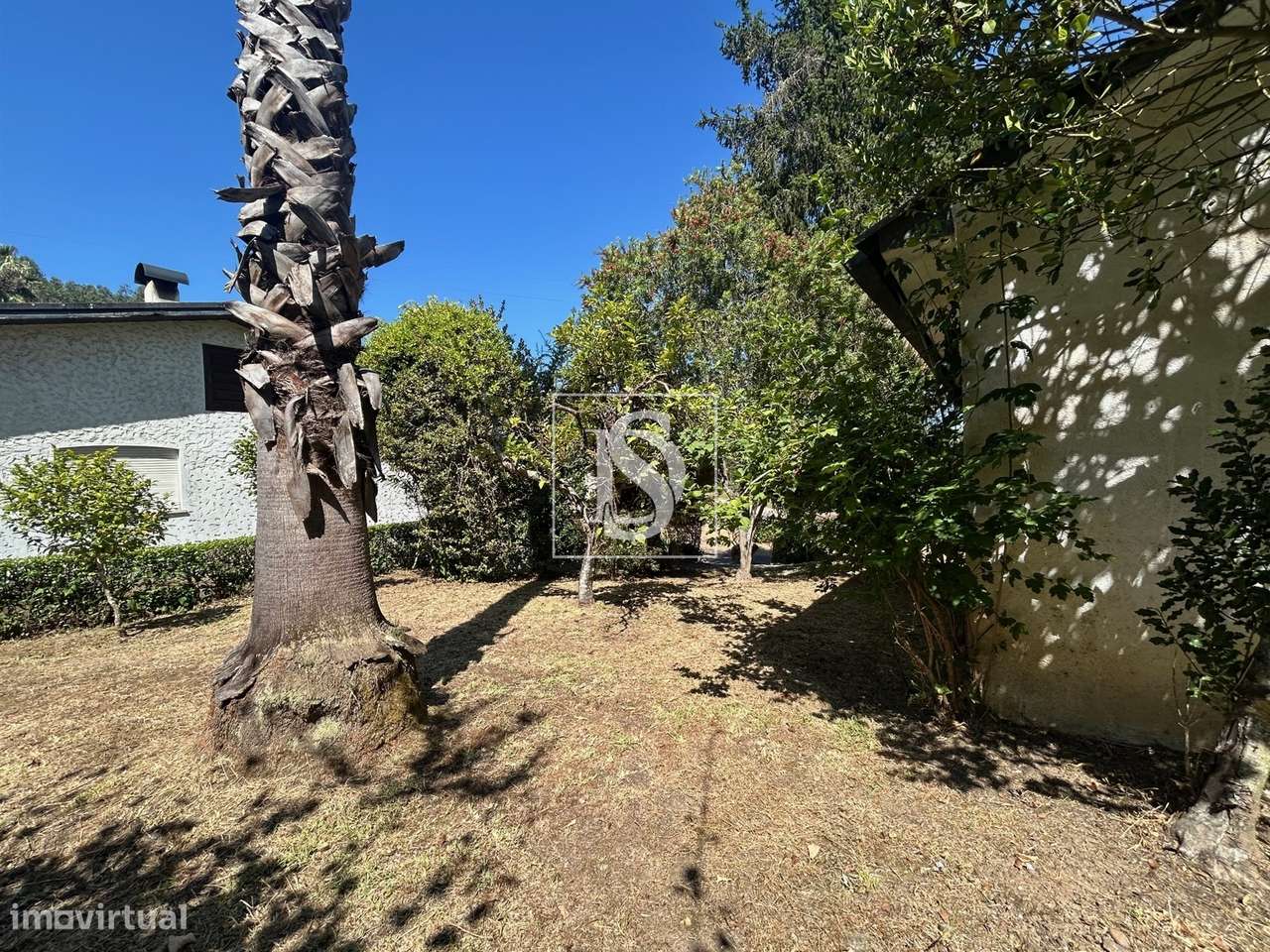 Quinta com 24.300m² em Vale de Açores, Mortágua-52
