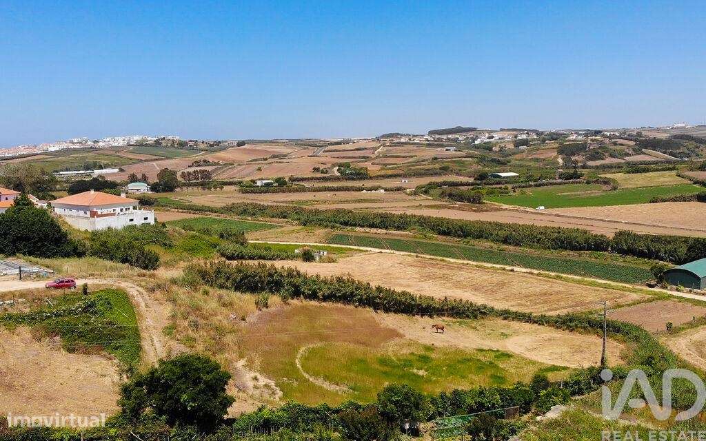 Terreno para construção em Lourinhã e Atalaia - Grande imagem: 5/18