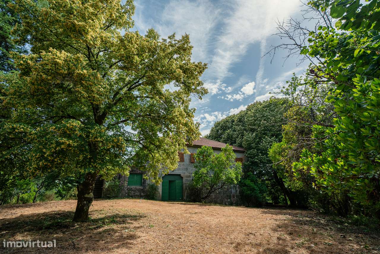 Quinta com 5,5 ha e Projecto Aprovado p/Hotel Rural 4 Estrelas - Viseu-5