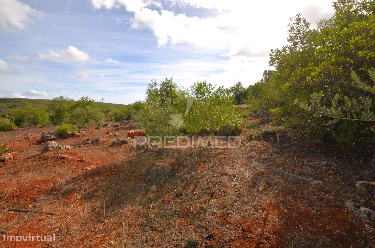 Terreno em Nave das Mealhas, Salir - Grande imagem: 5/38