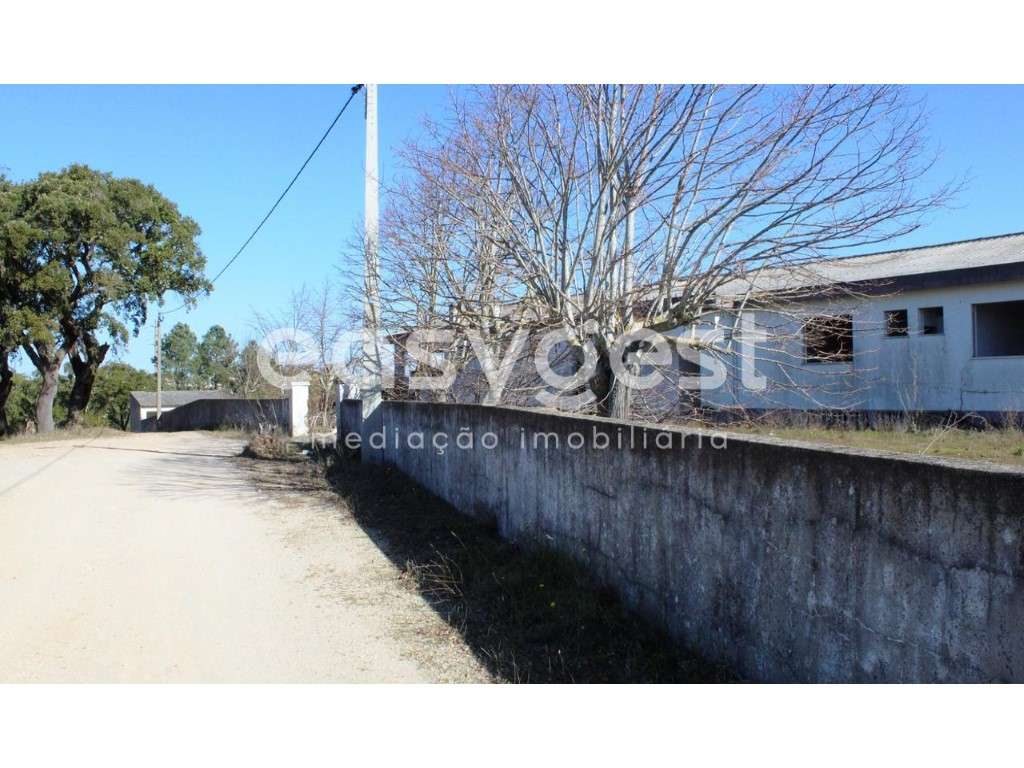 Quinta com projeto de recuperação e vista para a cidade de Abrantes - Grande imagem: 4/41