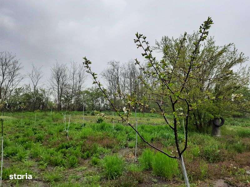 Teren intravilan 1500mp Bitina-Pamanteni Com Movilita Ialomita E85 - Imagine principală: 5/6