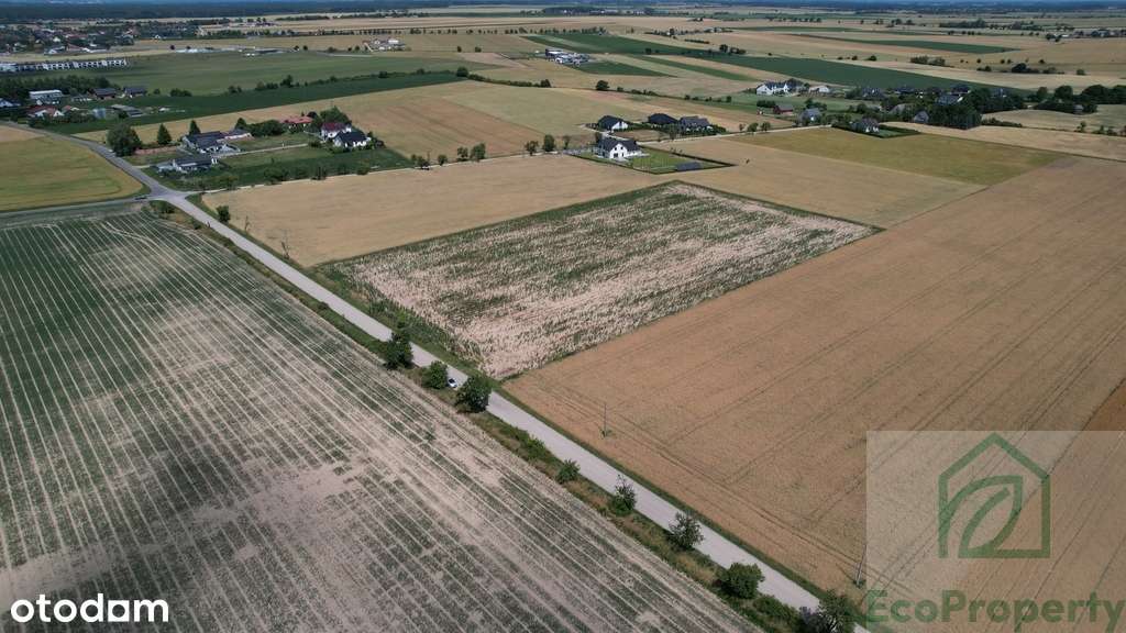 Atrakcyjne działki blisko Tarnowa Podgórnego - Pełny obrazek: 5/10