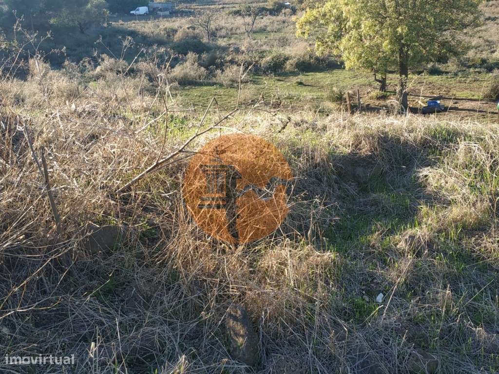 TERRENO COM RUINA - 4.960 M2 - COM NORA - ÁGUA DA BARRAGEM NA JUNQU...-36