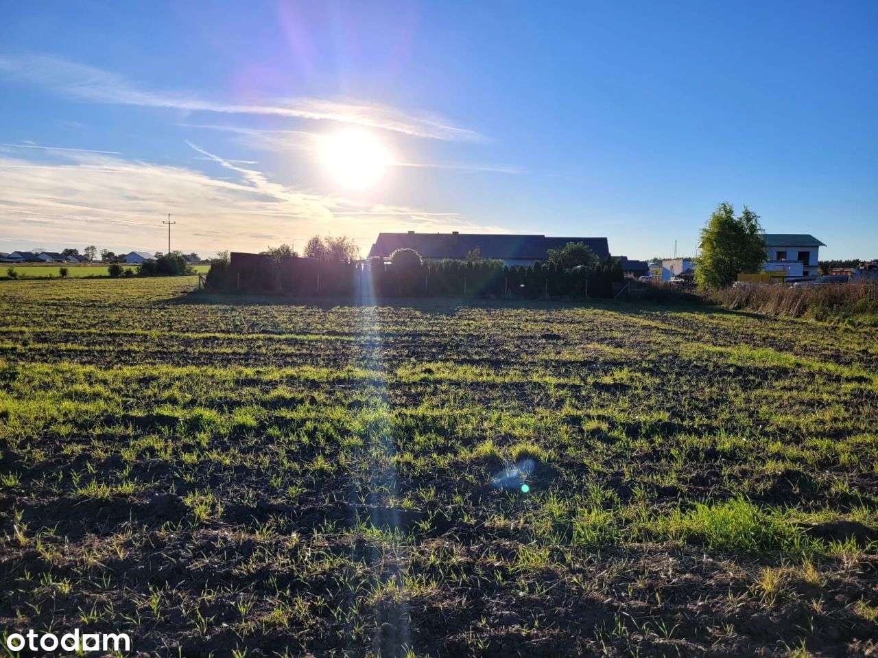 Działka budowlana usługowo-mieszkalna – Dzierzążen - Pełny obrazek: 5/16