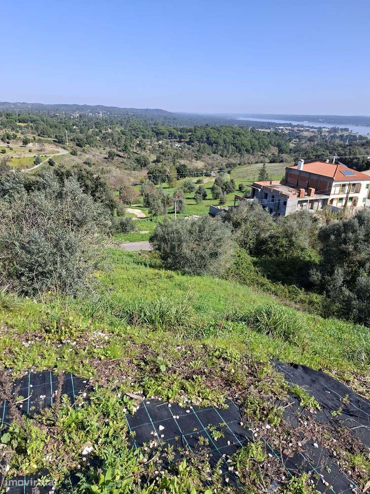 Oportunidade – Lote de Terreno em Montargil-2