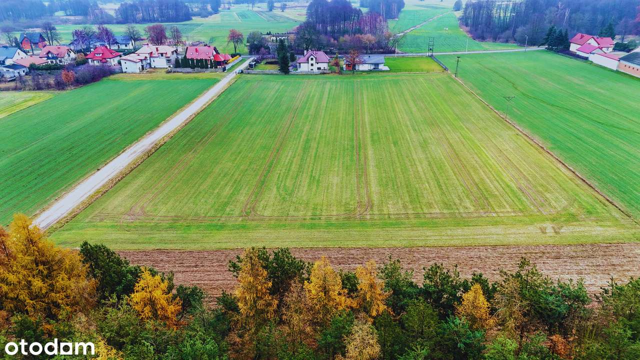 Kompleks działek | 1150 m2/1650 m2 | 5 min. od Rawy Mazowieckiej NIWNA-5