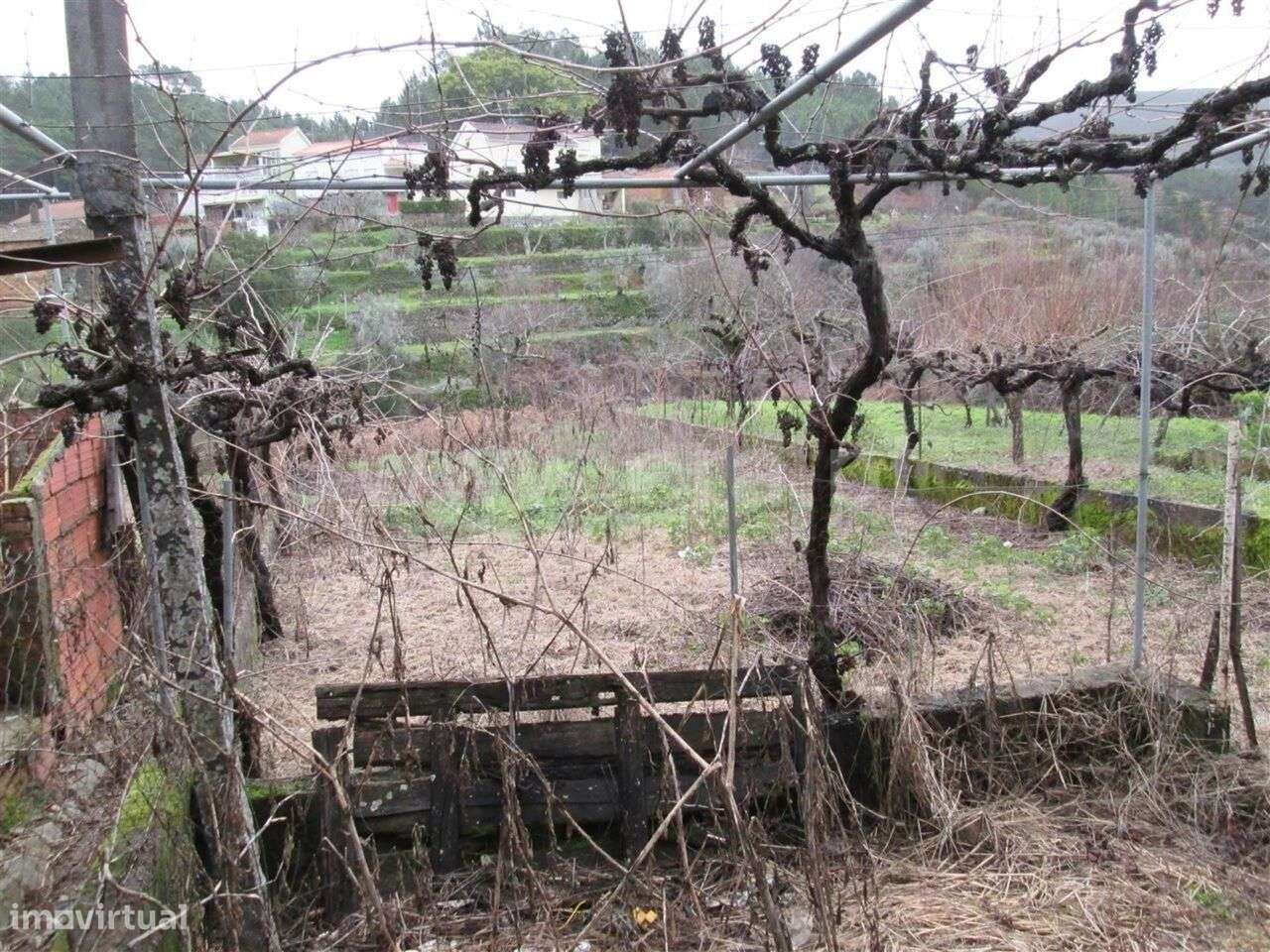 Moradia T2 / Fundão, Enxabarda - Grande imagem: 4/6