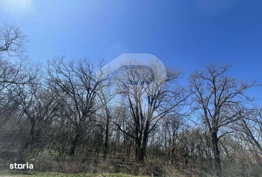 Gruiu_Lipia_Teren Intravilan langa padure - Imagine principală: 5/6