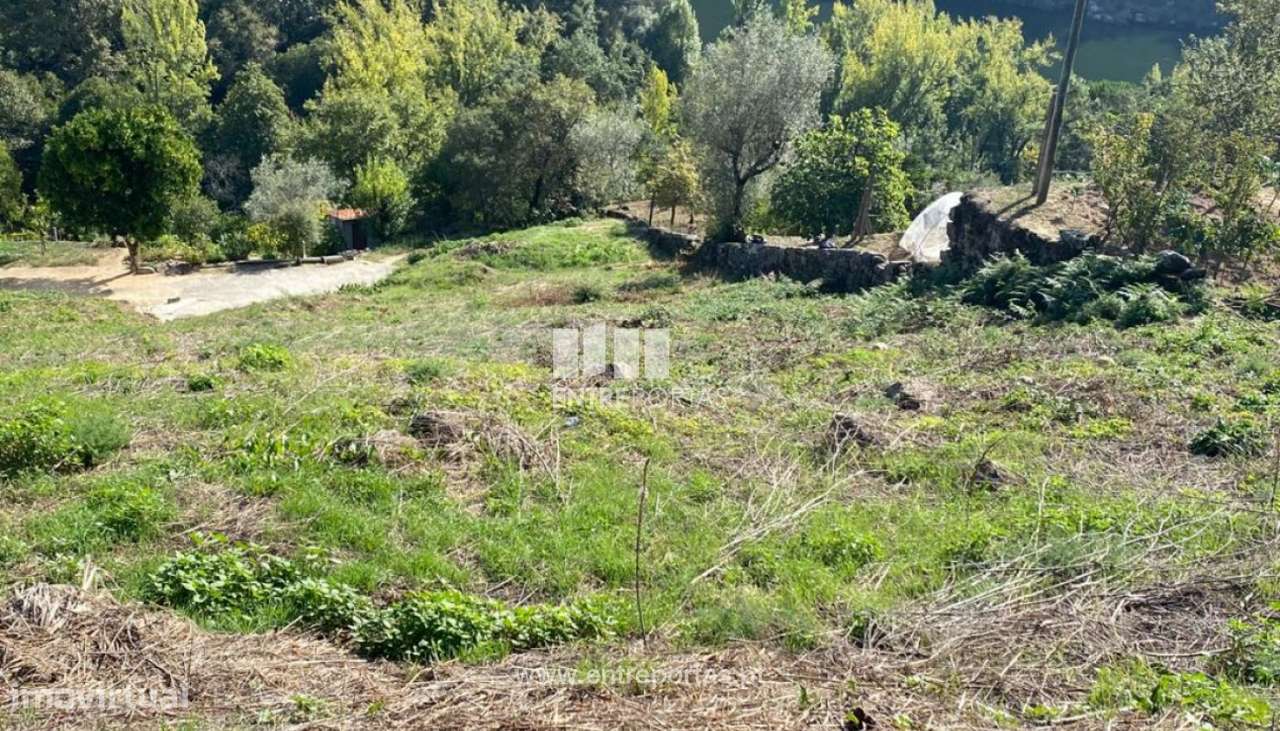 Venda Terreno, Sande, Marco de Canaveses - Grande imagem: 5/25