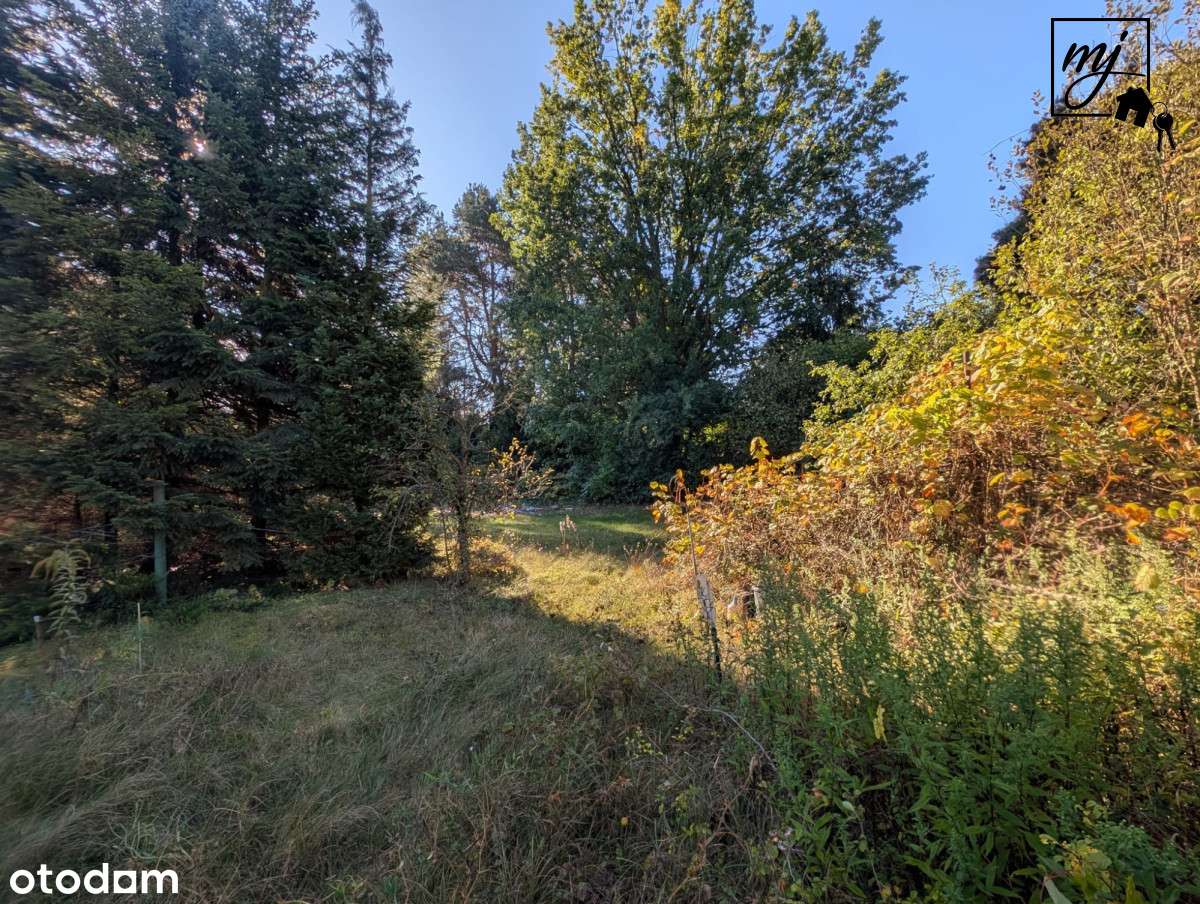 piękna działka z częścią leśną i ogrodową - Pełny obrazek: 5/10