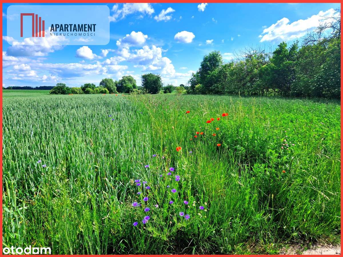 Tylko u nas !!! Działki ze stawem. - Pełny obrazek: 5/12