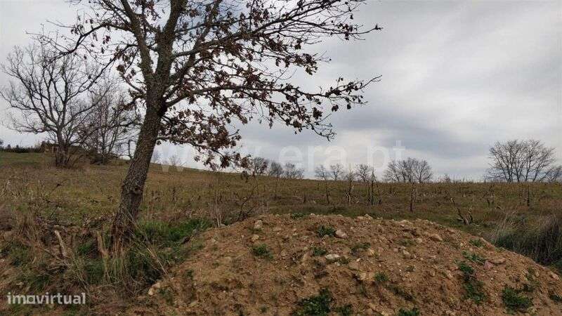 Terreno Rústico / Fundão, Capinha - Grande imagem: 4/13