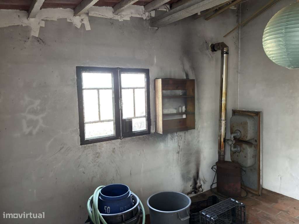 Vendese Quinta com Casa T4, Adega, Lagar e Terreno com Árvores de F...-37