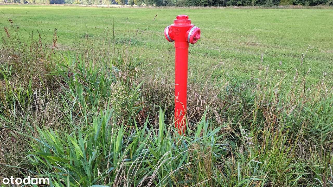 Działki Siedliskowe w Czepielinie-Kolonii, Gmina Mordy - Pełny obrazek: 4/5