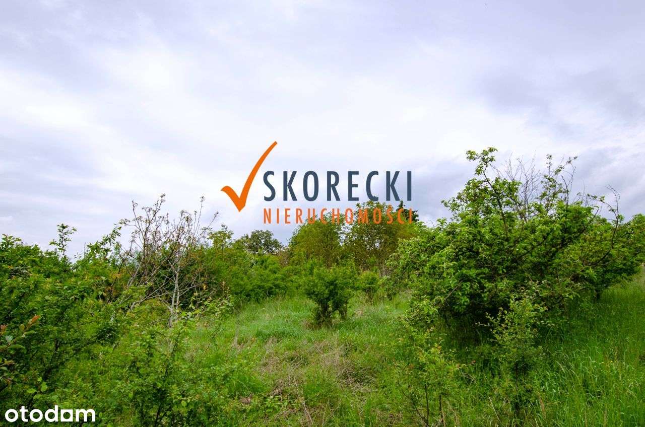 Atrakcyjne Działki Budowlane w Kożuchowie!-7