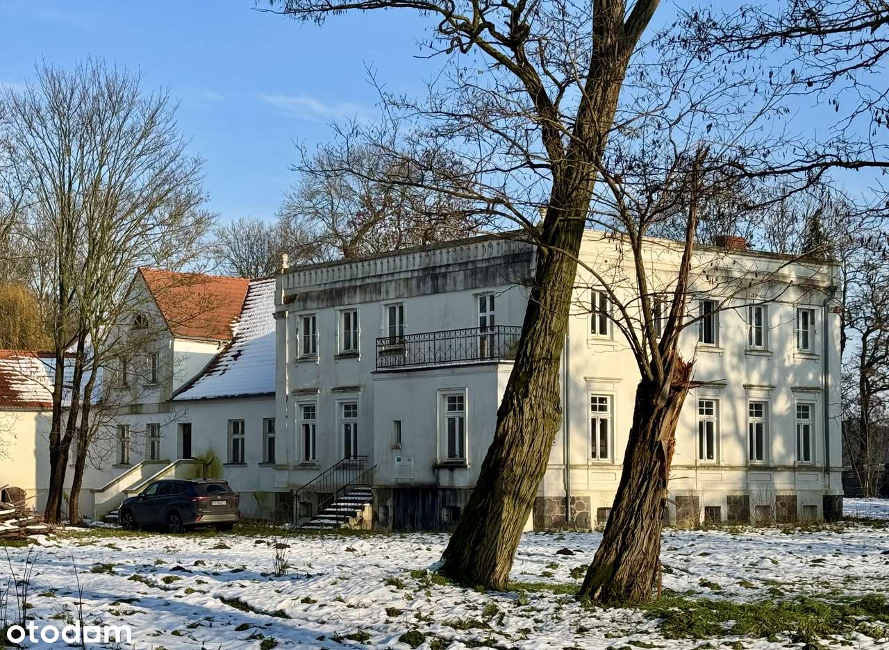 DWÓR BRZESKICH W JABŁKOWIE-5