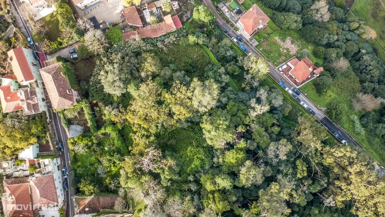 Quinta 1.9 ha, Sintra - Grande imagem: 4/60