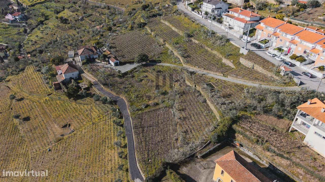 Oportunidade no Douro | Quinta com História | Lamego-12