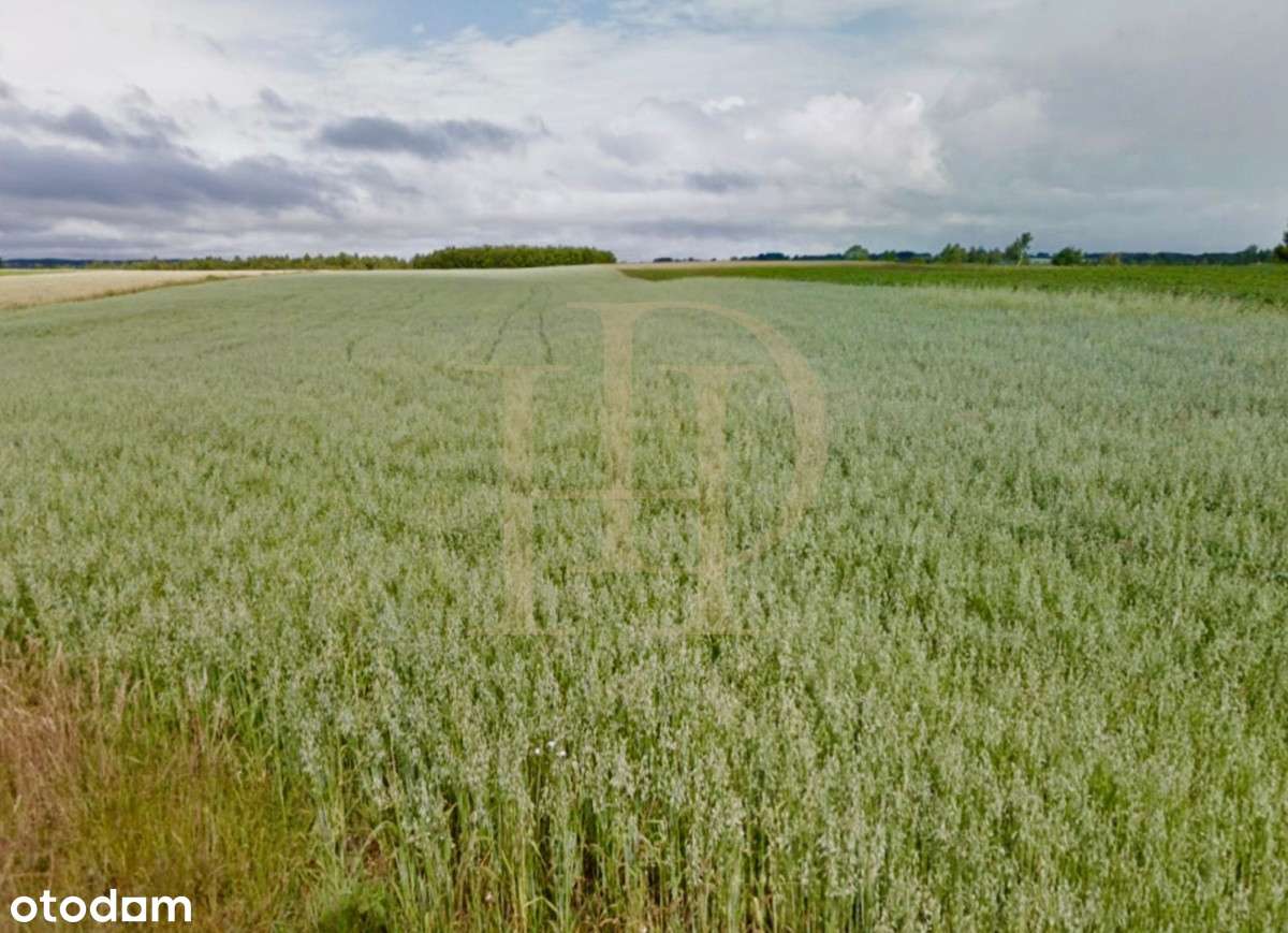 Działka budowlana w spokojnym zielonym otoczeniu-0