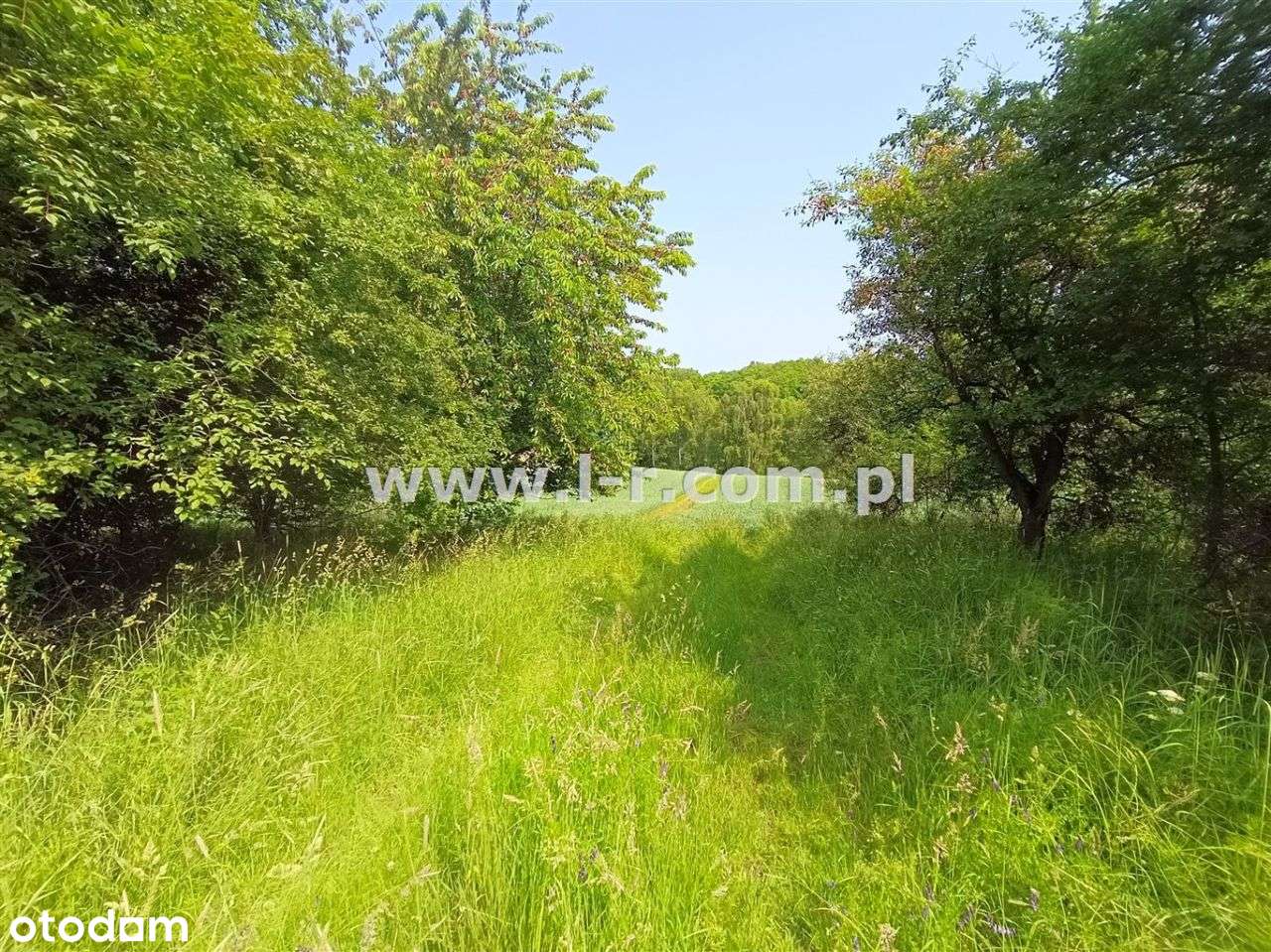 Atrakcyjna Działka W Sąsiedztwie Lasu-9