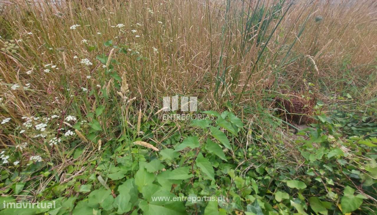 Terreno 3550 m2, Argivai, Póvoa de Varzim - Grande imagem: 2/12