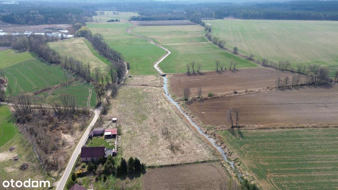 Atrakcyjna działka – 0,93 ha | Czatkowice, blisko Milicza-6