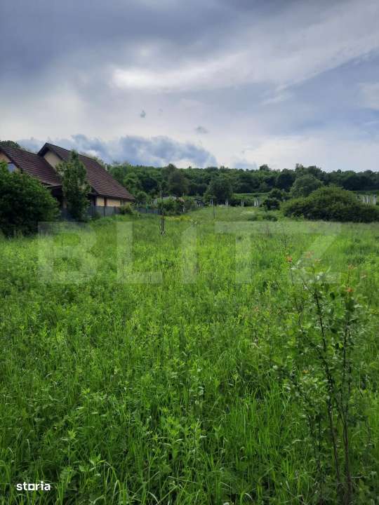 Teren intravilan in Loc. Sutu, in zona Lacurilor de la Ciurila. - Imagine principală: 3/3