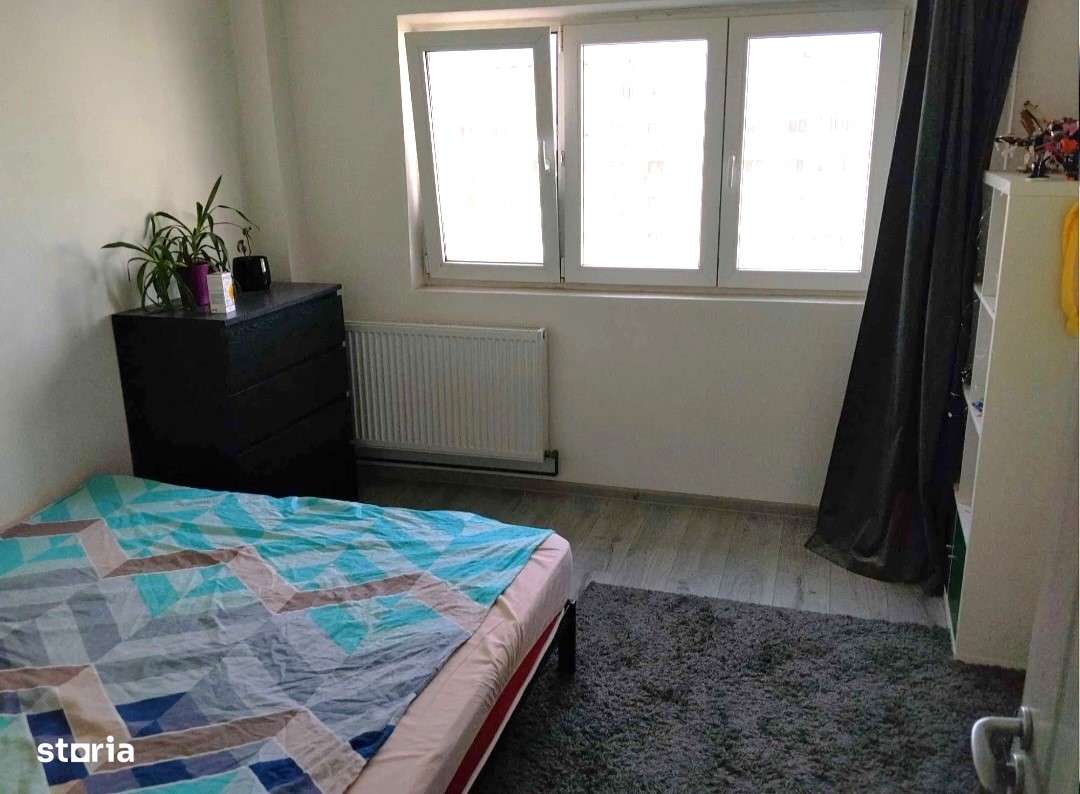 Baba Novac- Campia Libertatii, scoala Leonardo da Vinci-0