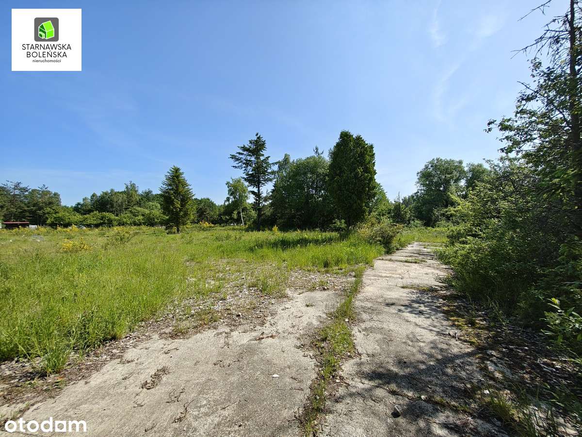 st926876 - Pełny obrazek: 4/5